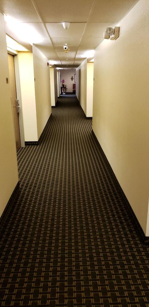 Hotel Super 8 By Wyndham Windsor Exterior foto